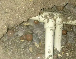 遂平卫生间测漏