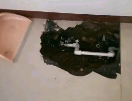 遂平卫生间测漏水多少钱